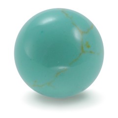 Robins Egg Howlite Gem Marble 